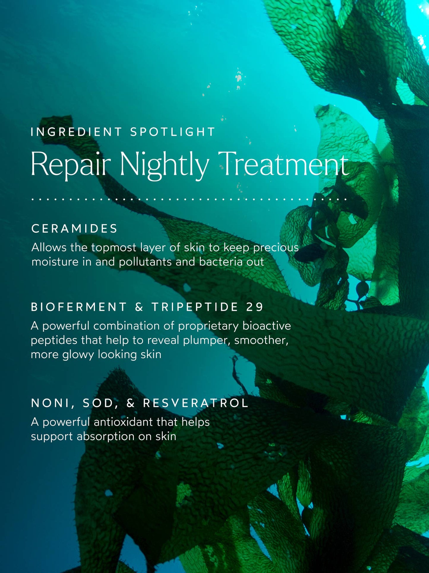 TRUE BOTANICALS Renew Repair Nightly Treatment (formerly Repair Serum): Full Size (1 fl oz | 30 ml)