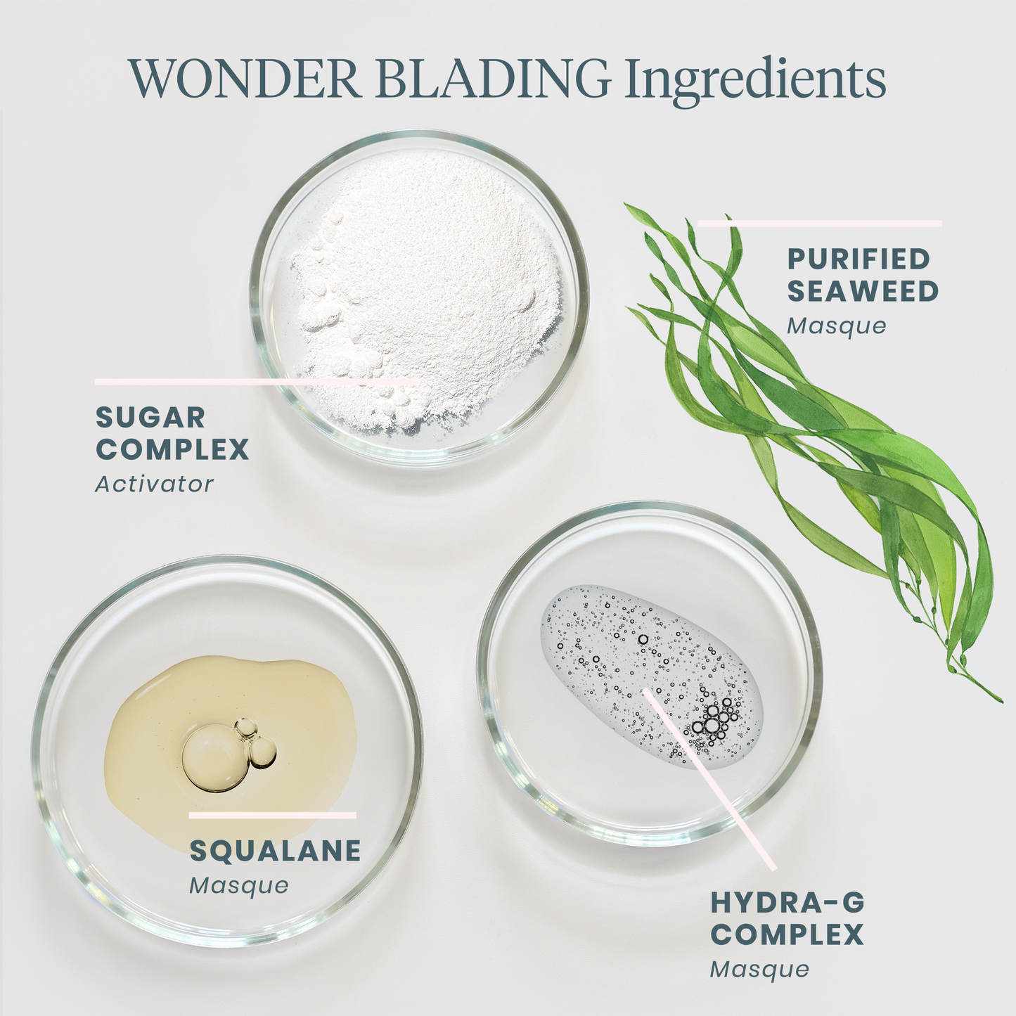 WONDER BLADING Peel & Reveal Lip Color Kit: Romance (cool rose)