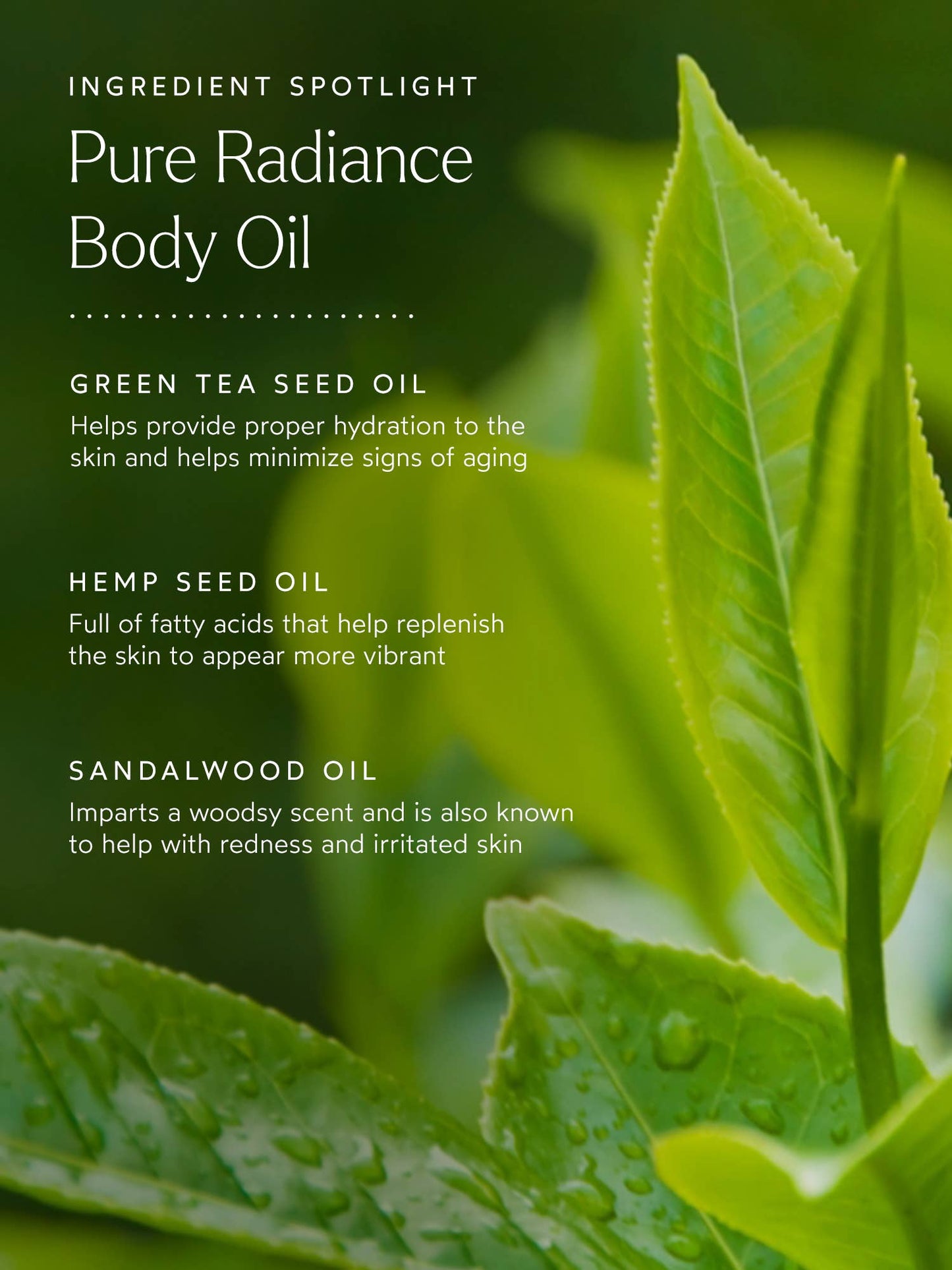 TRUE BOTANICALS Pure Radiance Body Oil: Full Size (3.9 fl oz | 144 ml)