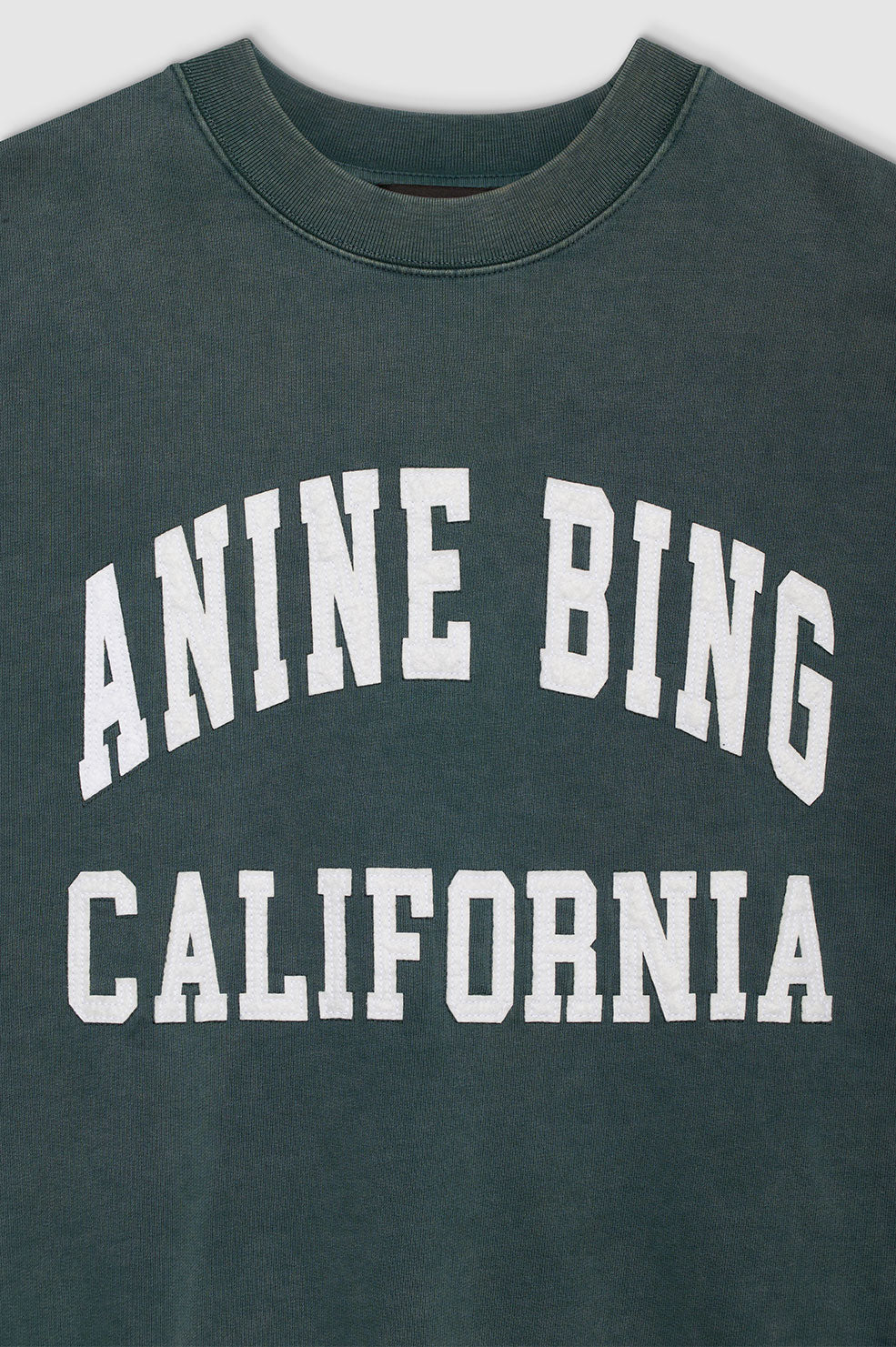 ANINE BING Miles Sweatshirt | Washed Dark Sage