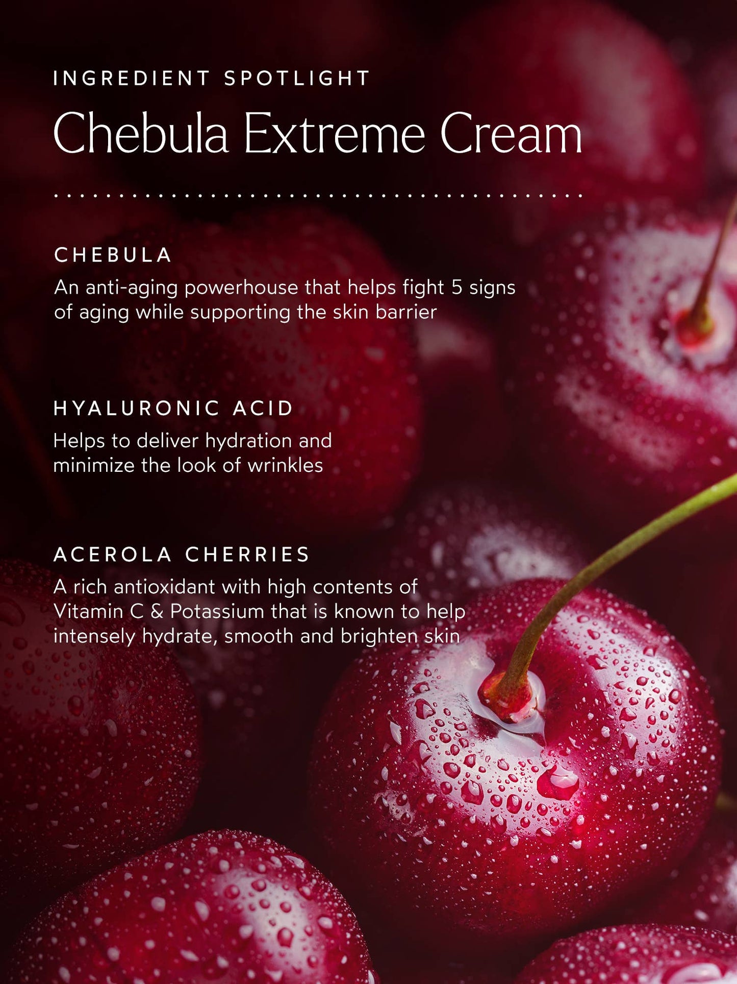 TRUE BOTANICALS Renew Chebula Extreme Cream: Full Size (1.7 fl oz | 50 ml)