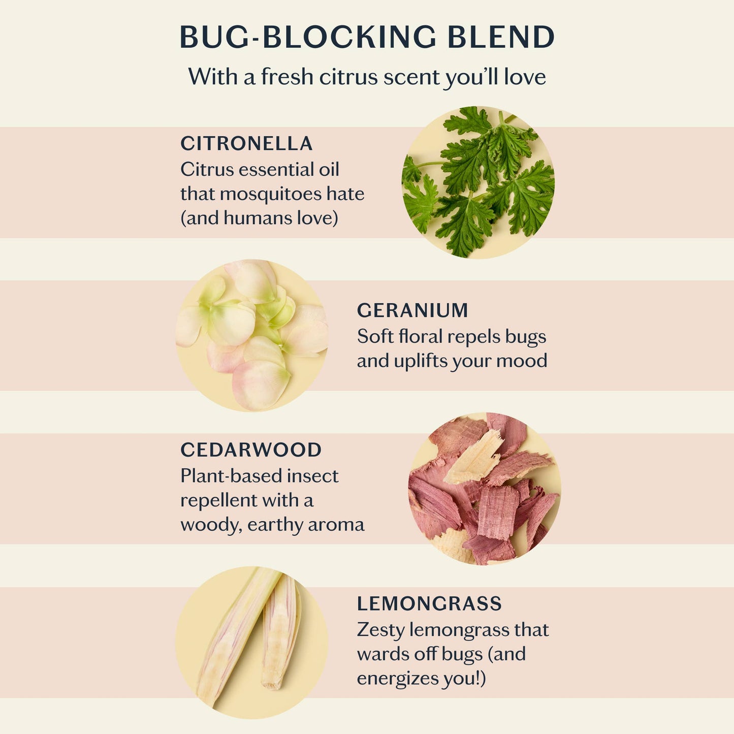 Kate McLeod The Bug Balm