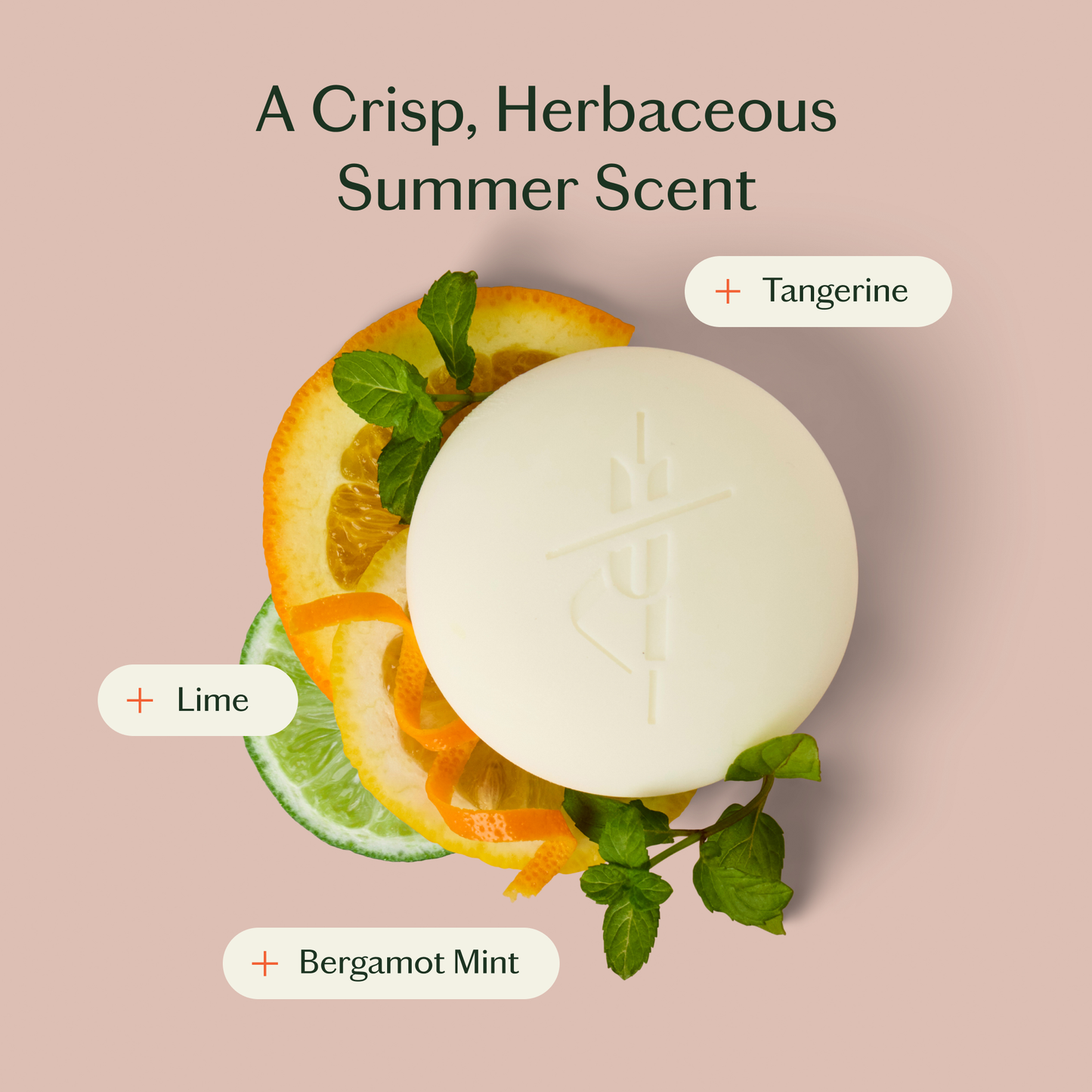 Kate McLeod Bergamot Mint | Deep Moisturizing Lotion Bar