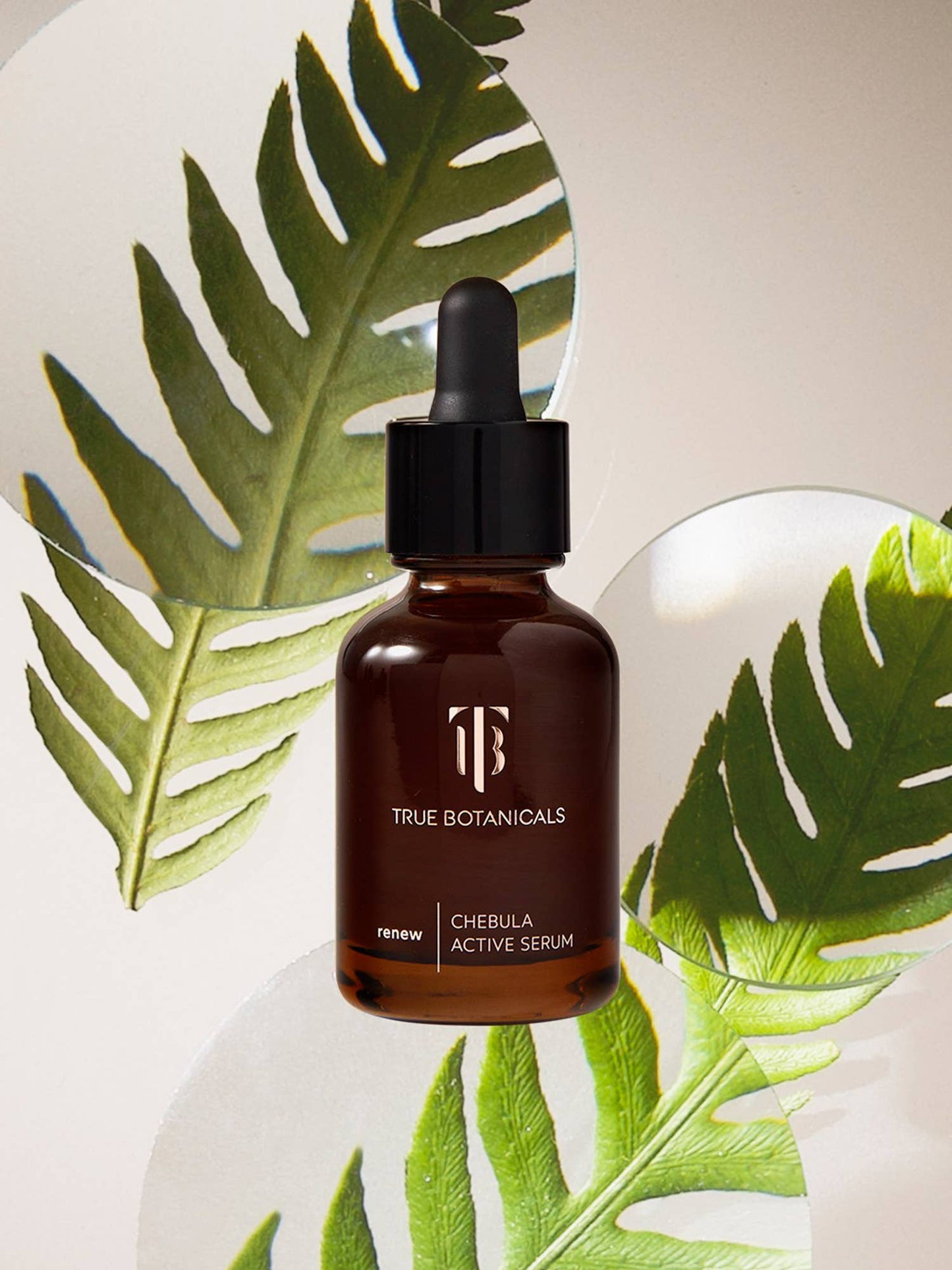 TRUE BOTANICALS Renew Chebula Active Serum: Full Size (1 fl oz | 30 ml)