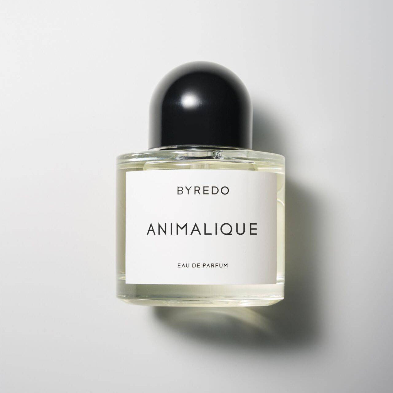 BYREDO Animalique