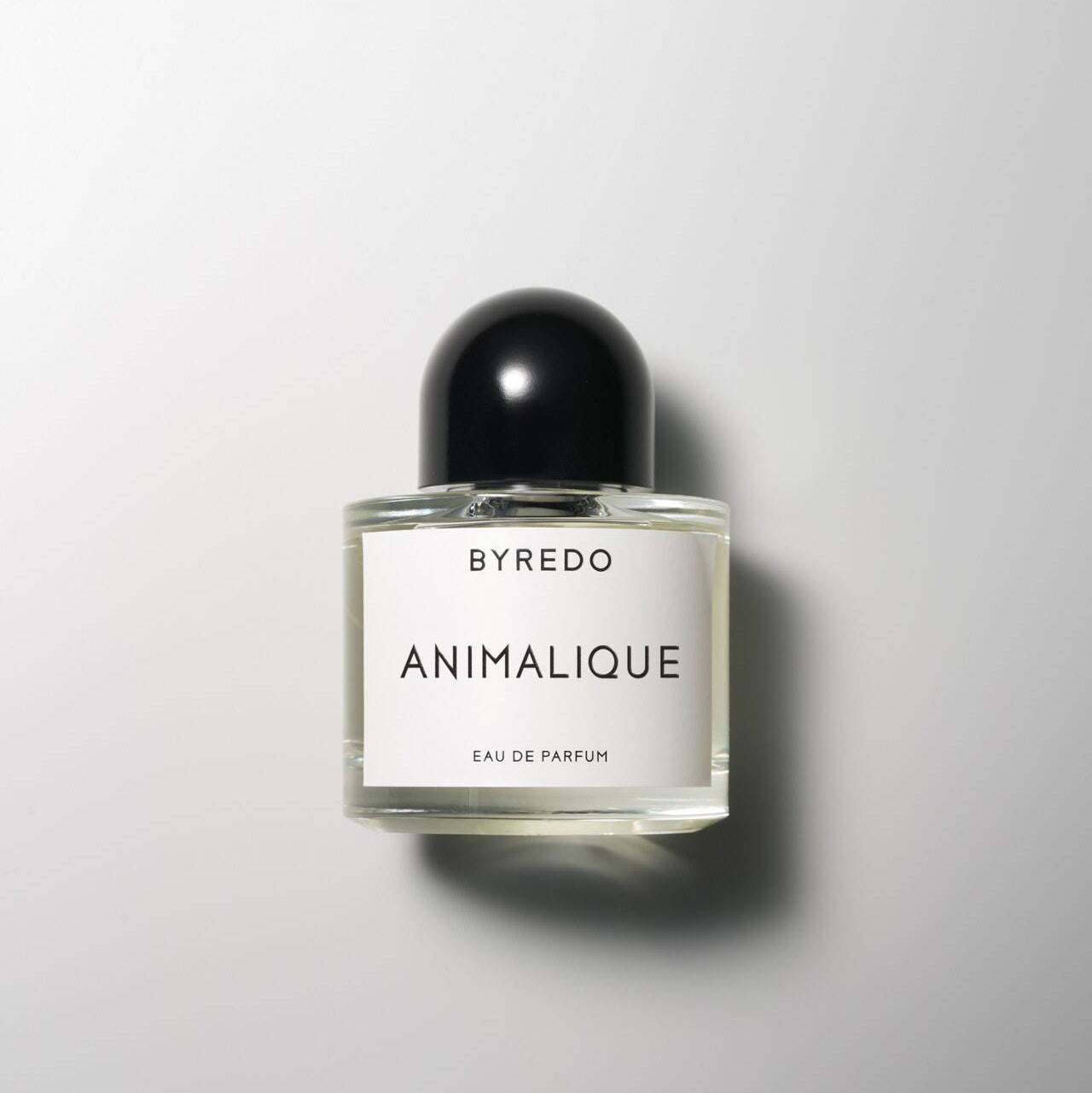 BYREDO Animalique