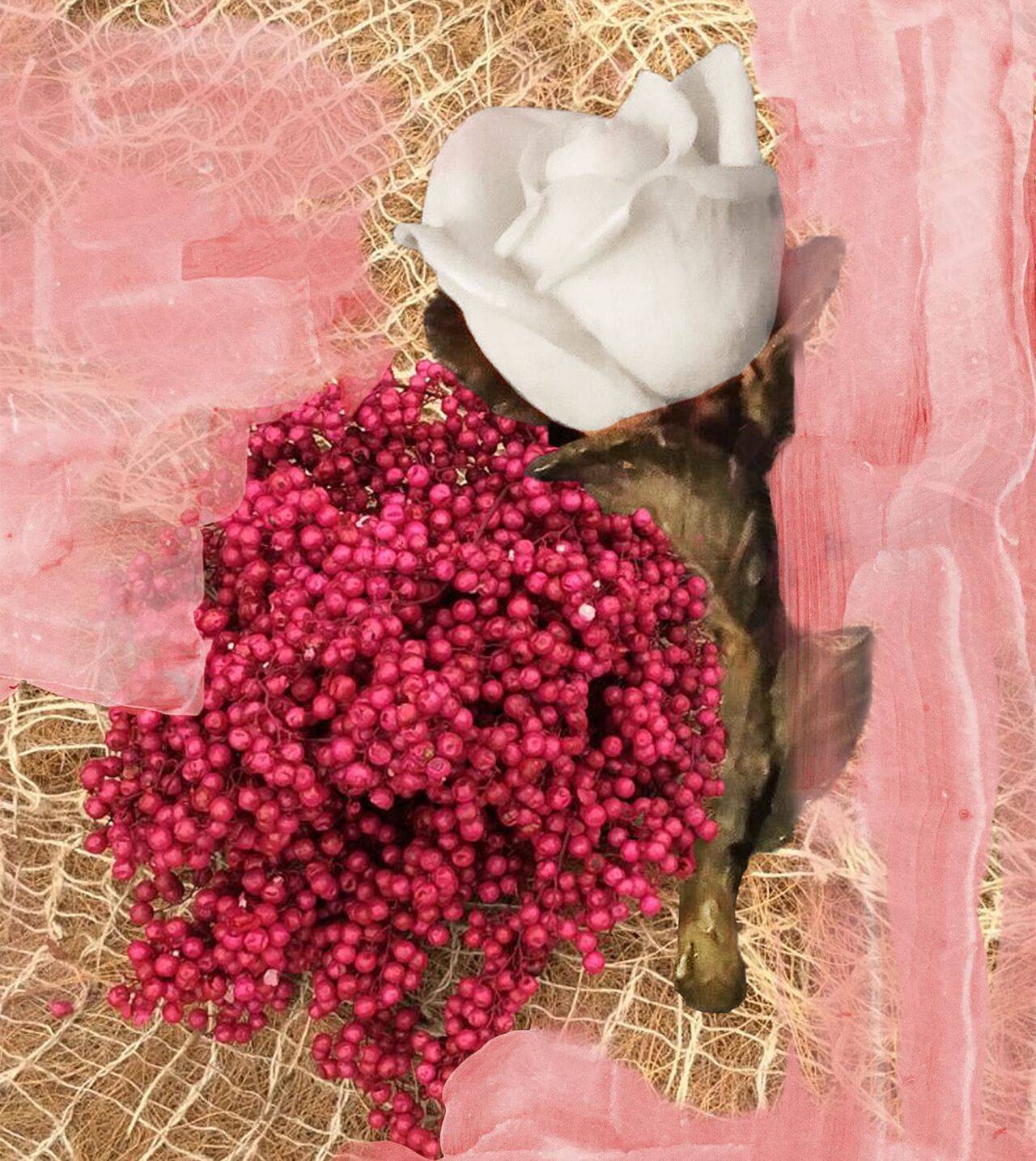 BYREDO Rose Of No Man's Land