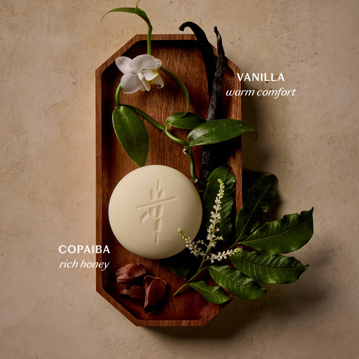 KATE MCLEOD Vanilla & Copaiba | Deep Moisturizing Lotion Bar