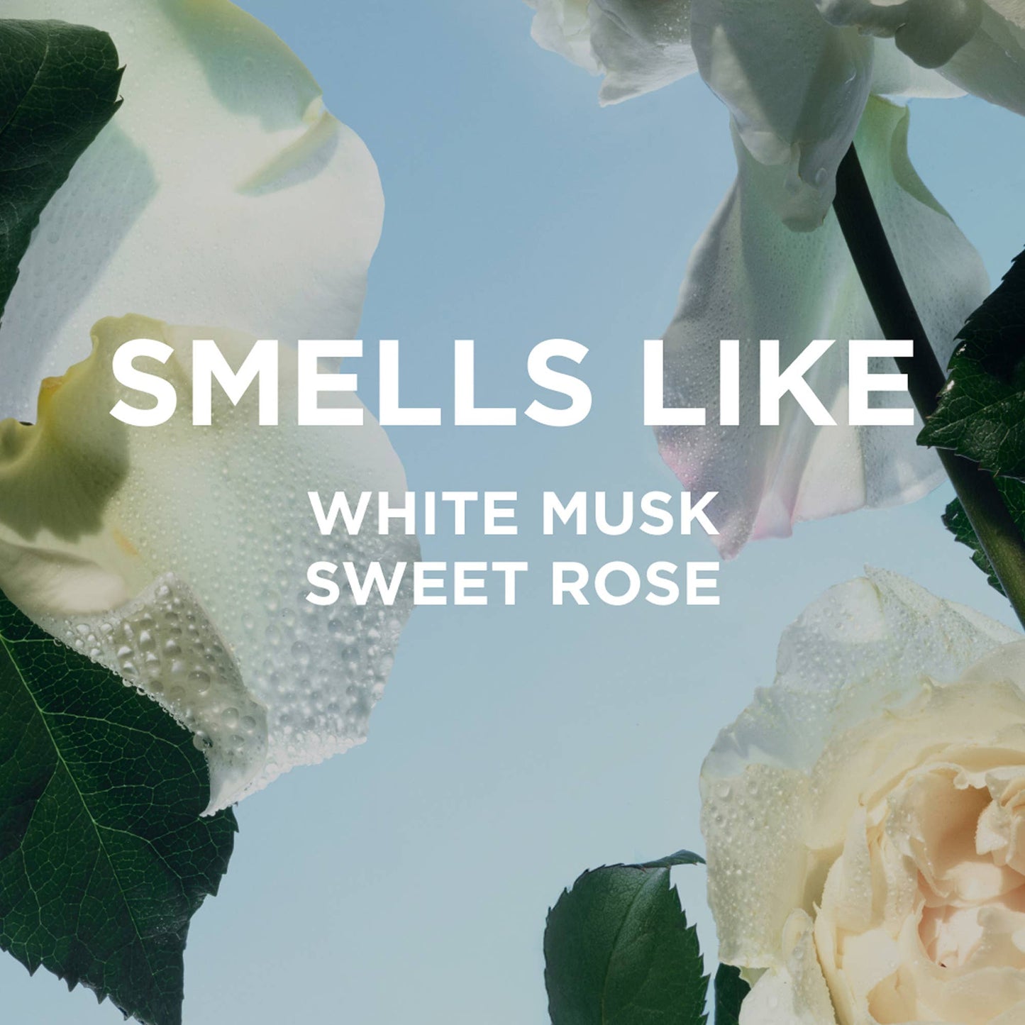 ROSIE Everyday Body Wash with white musk