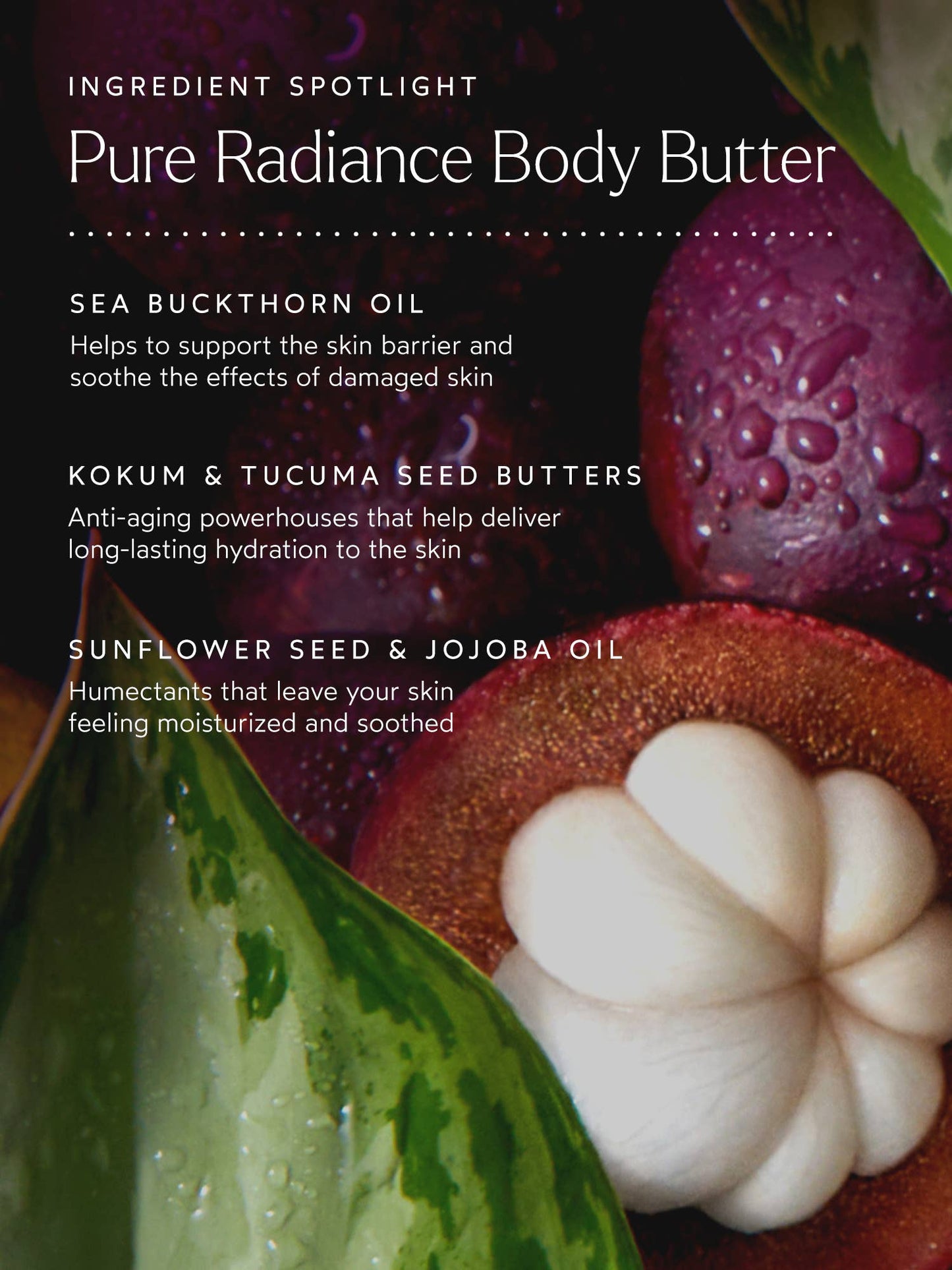 TRUE BOTANICALS Body Love Pure Radiance Body Butter: Full Size (7.4 oz | 237 ml)