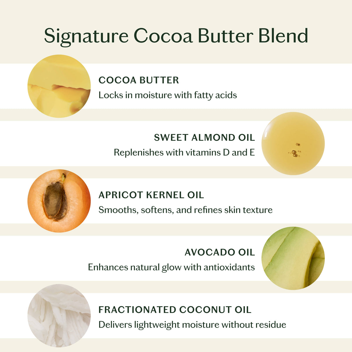 Palo Santo & Vetiver  | Deep Moisturizing Lotion Bar