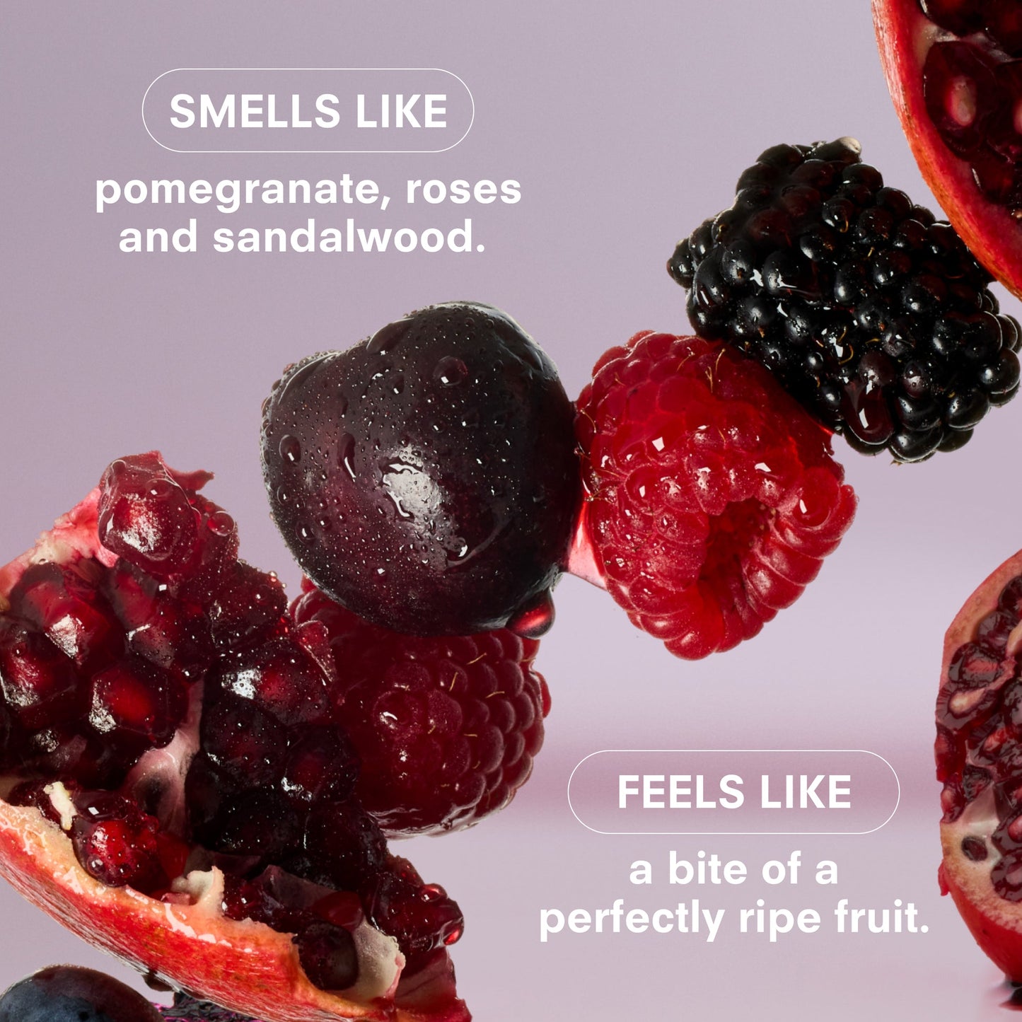 Boy Smells Rosy Cheeks | Parfume