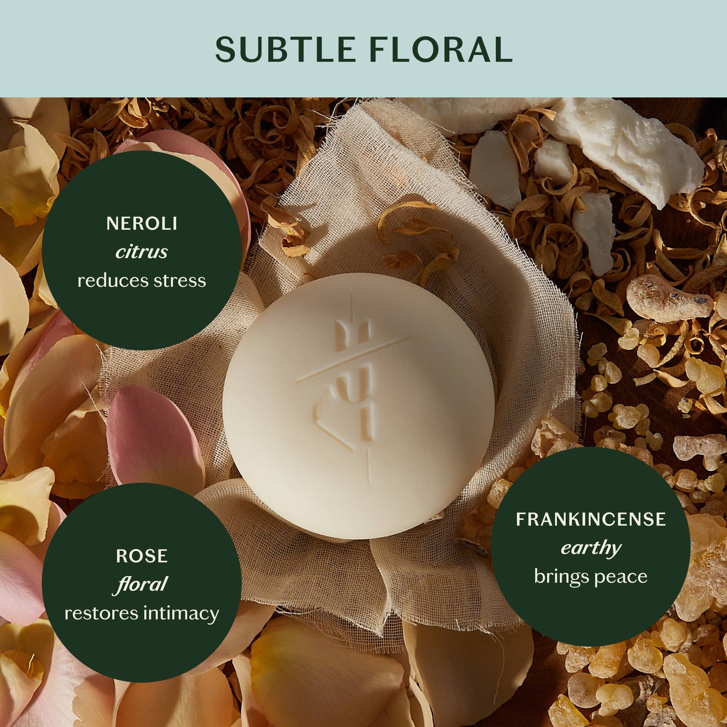 Daily Stone | Deep Moisturizing Lotion Bar: Mini (1 oz)