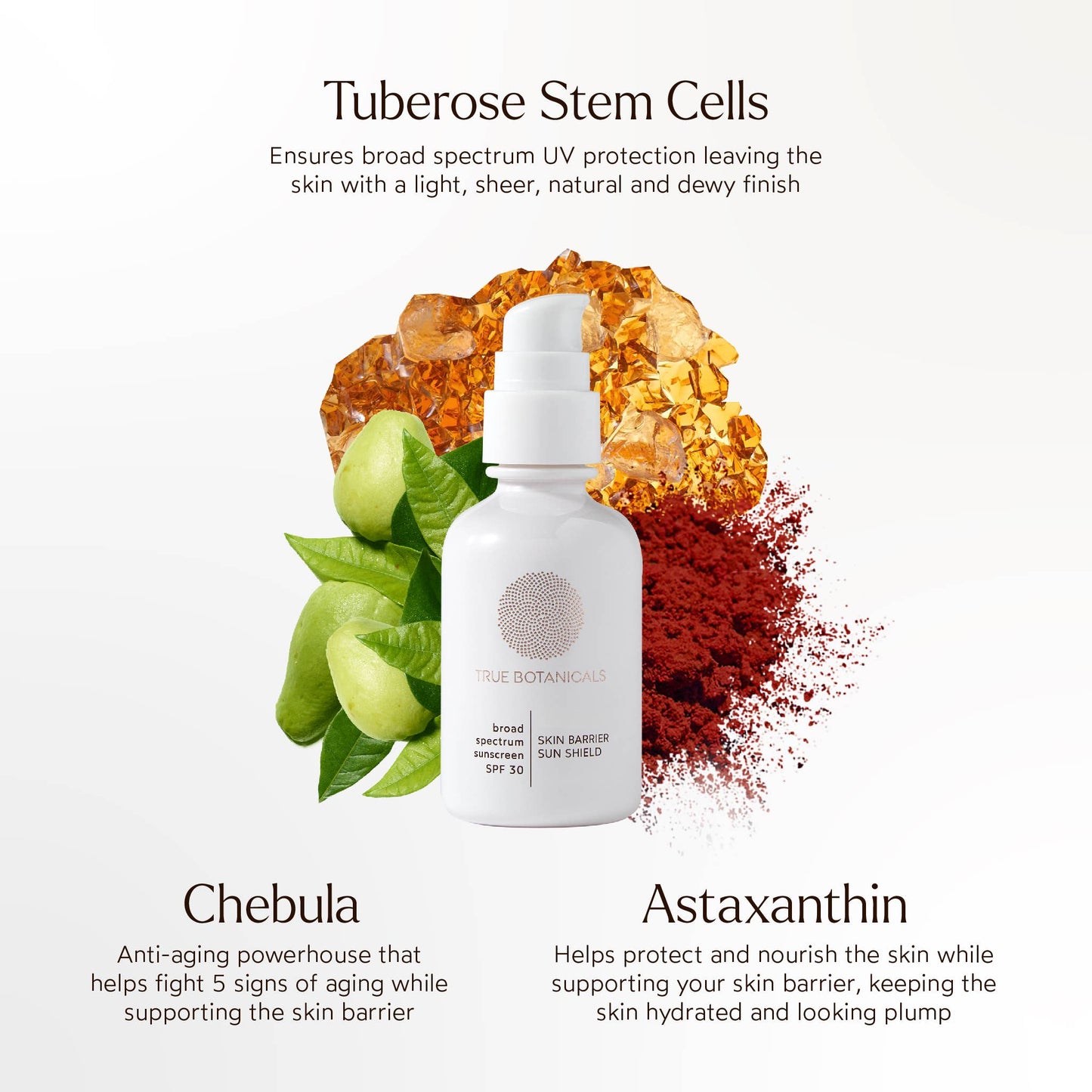 Skin Barrier Sun Shield SPF 30: Full Size (1.7 fl oz | 50 ml)