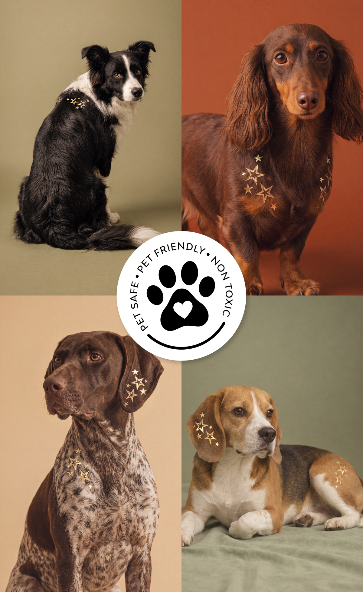 FAZIT Golden Star Speckles Pet Patches for Dogs