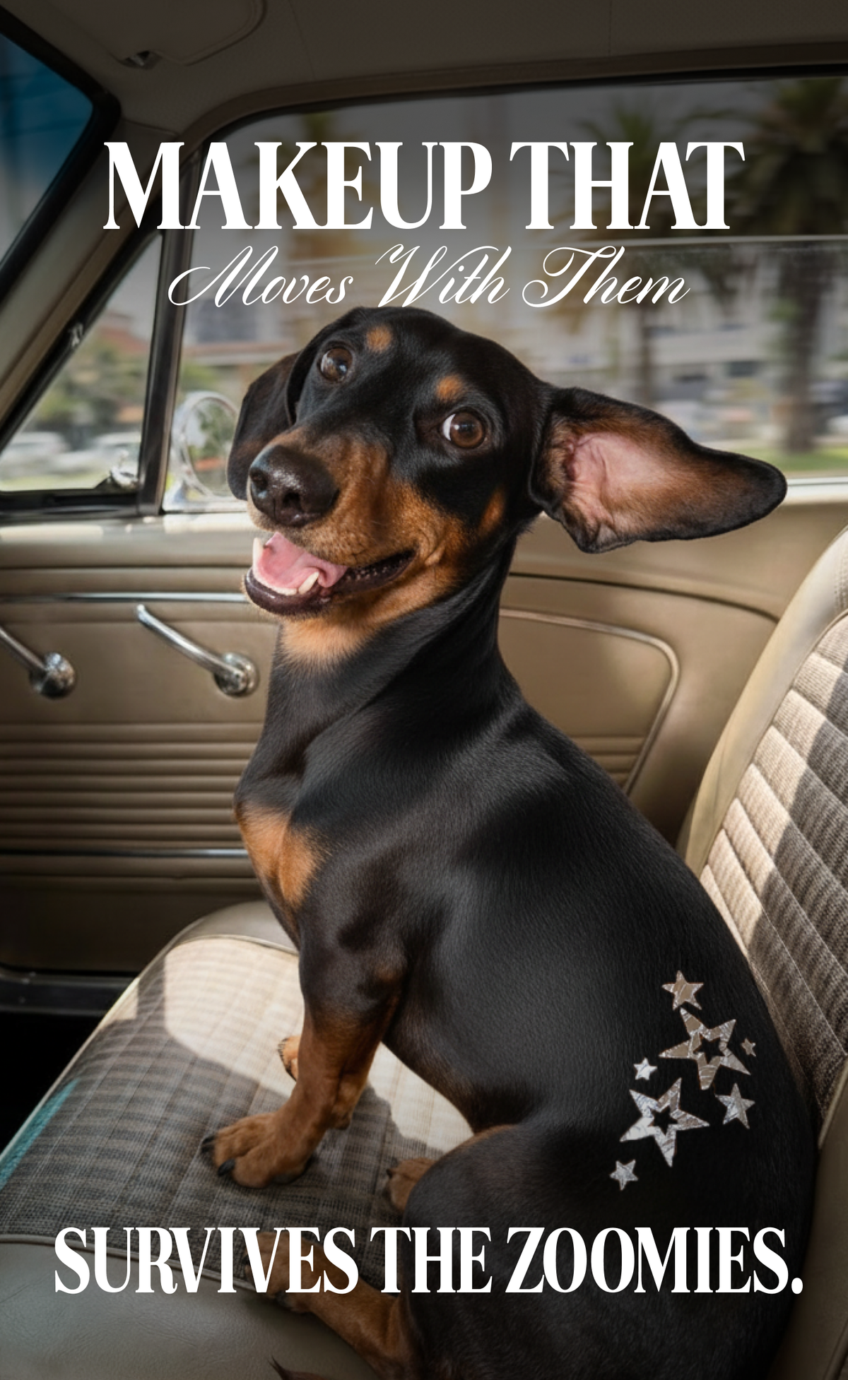 FAZIT Silver Star Speckles Pet Patches for Dogs