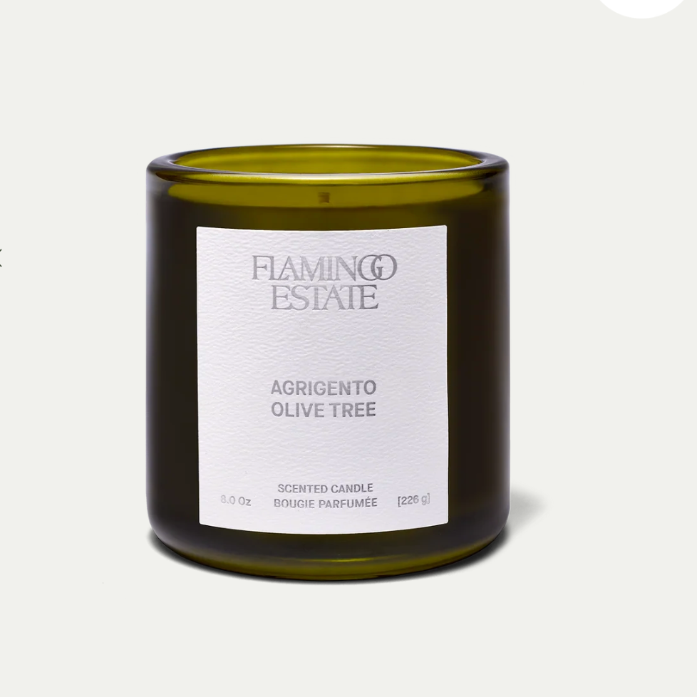 FLAMINGO ESTATE Ancient Agrigento Olive tree Candle 8oz