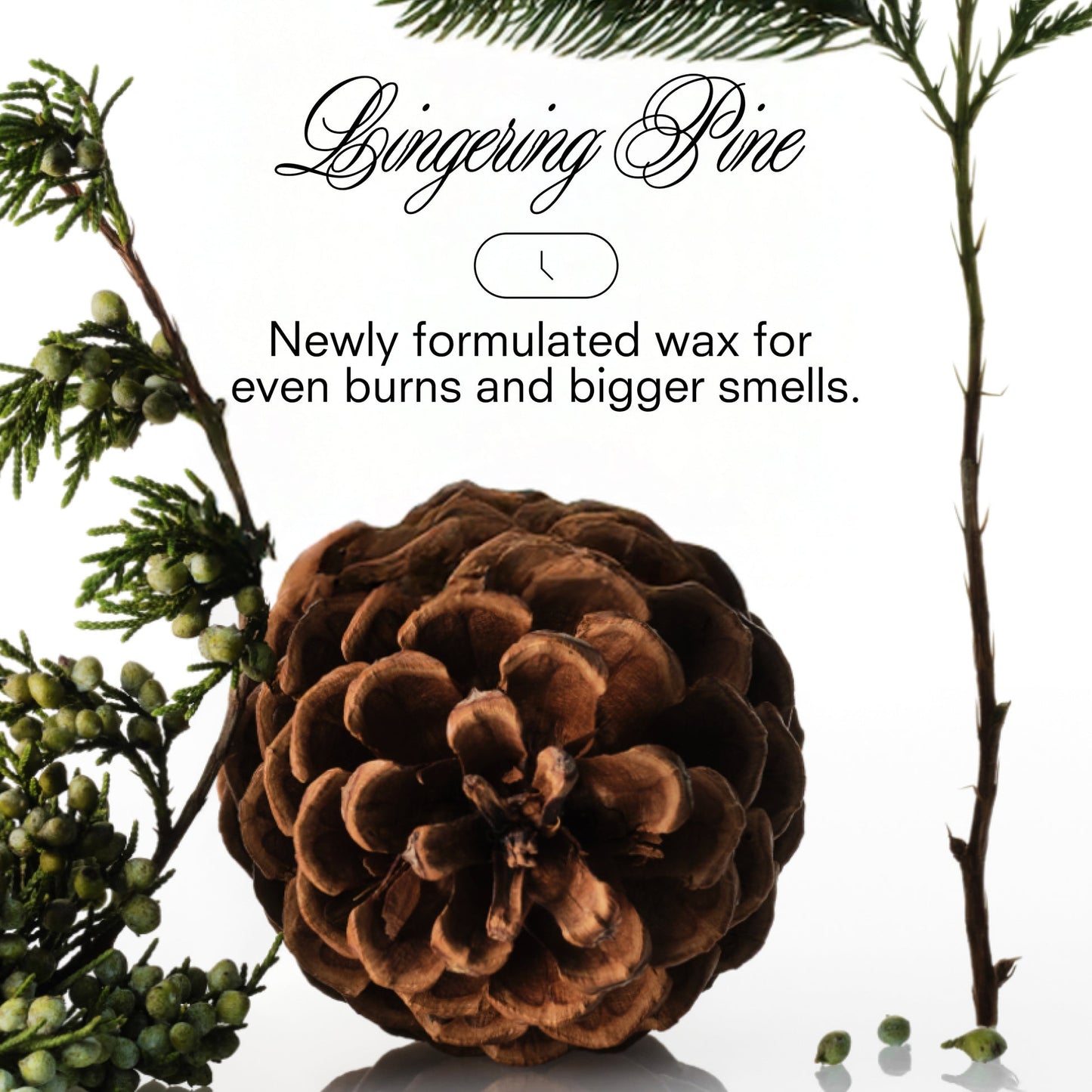 Boy Smells XXMAS Tress Holiday Candle