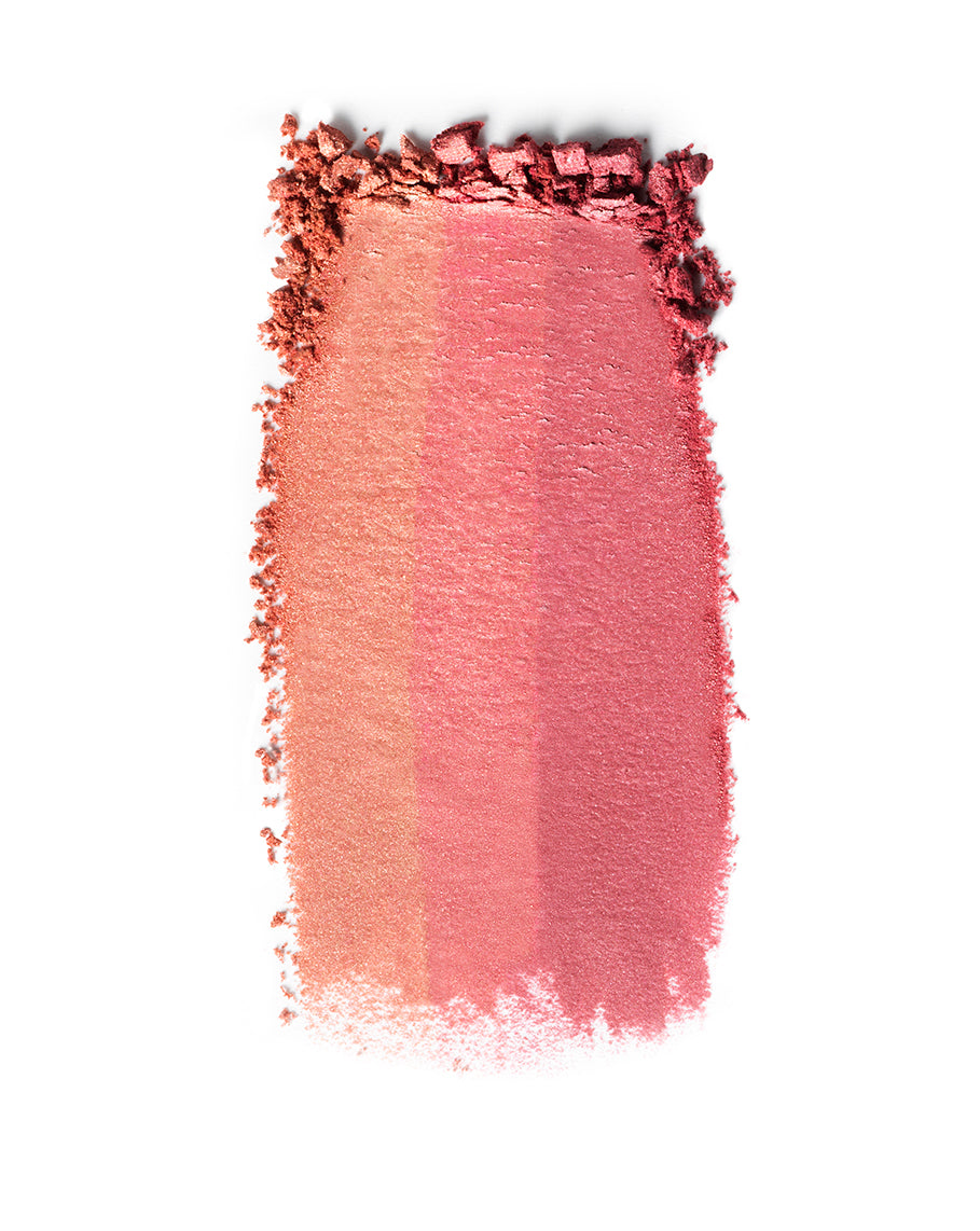 KEVYN AUCOIN The Neo-Blush