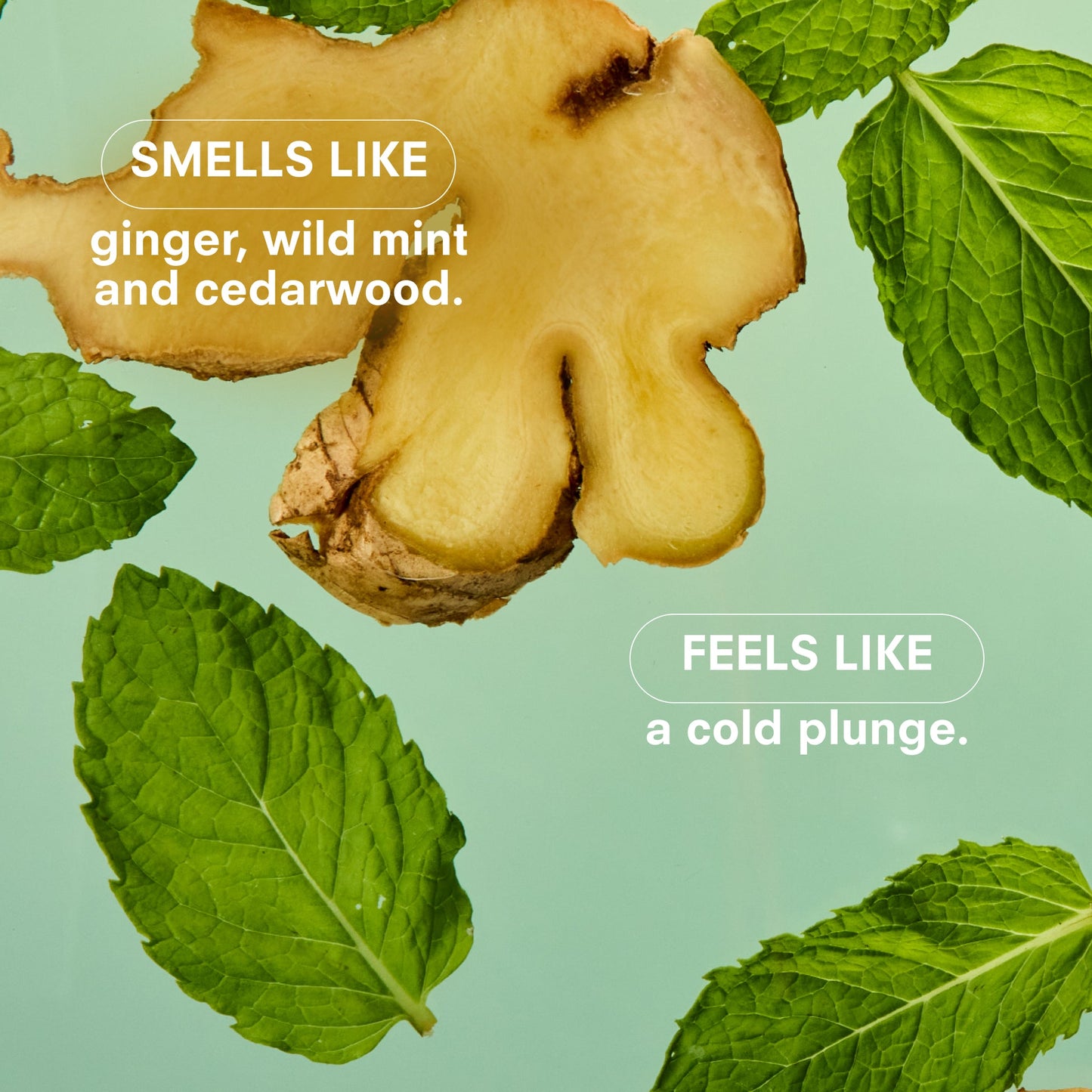 Boy Smells Minty Candle