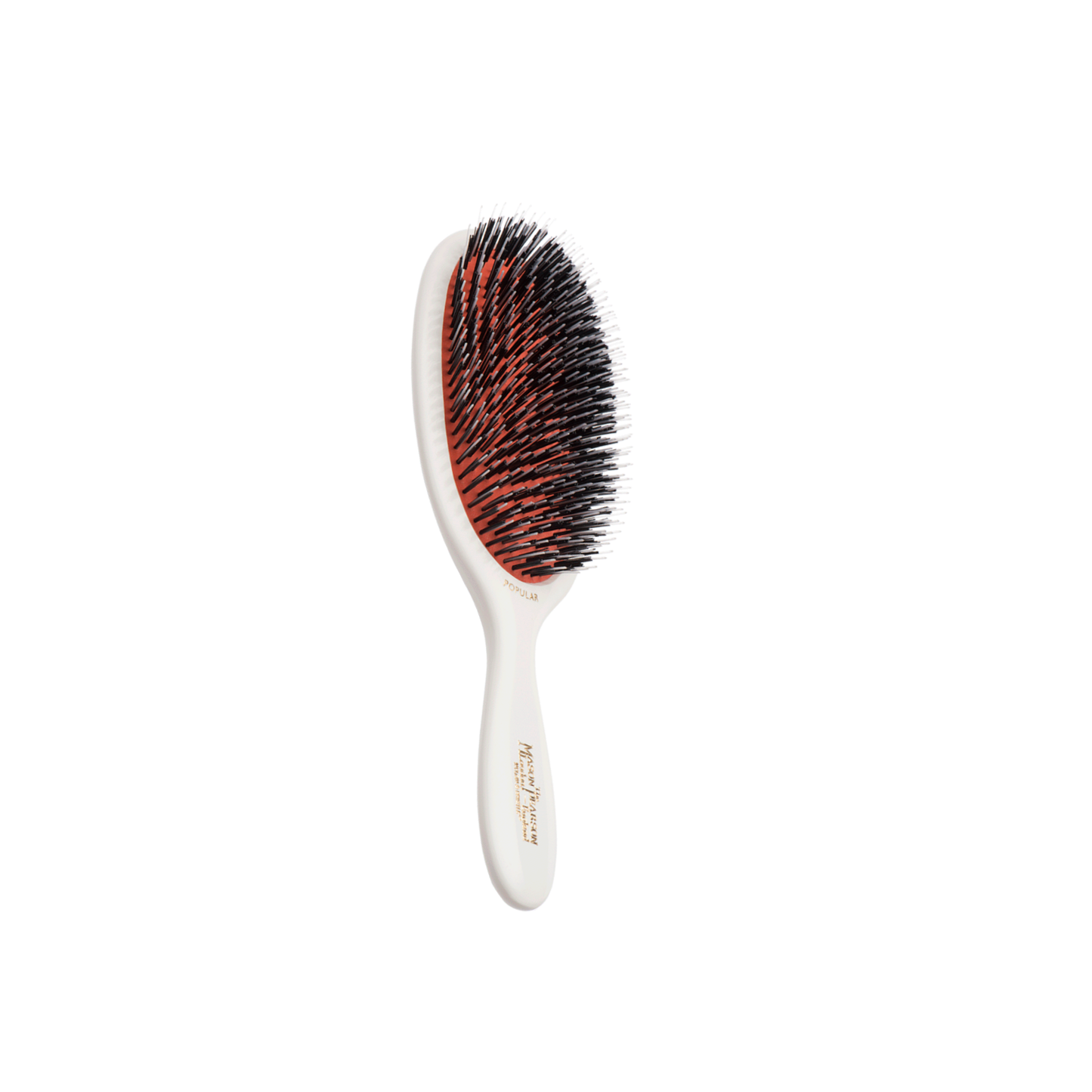 MASON PEARSON Popular Brush | BN1