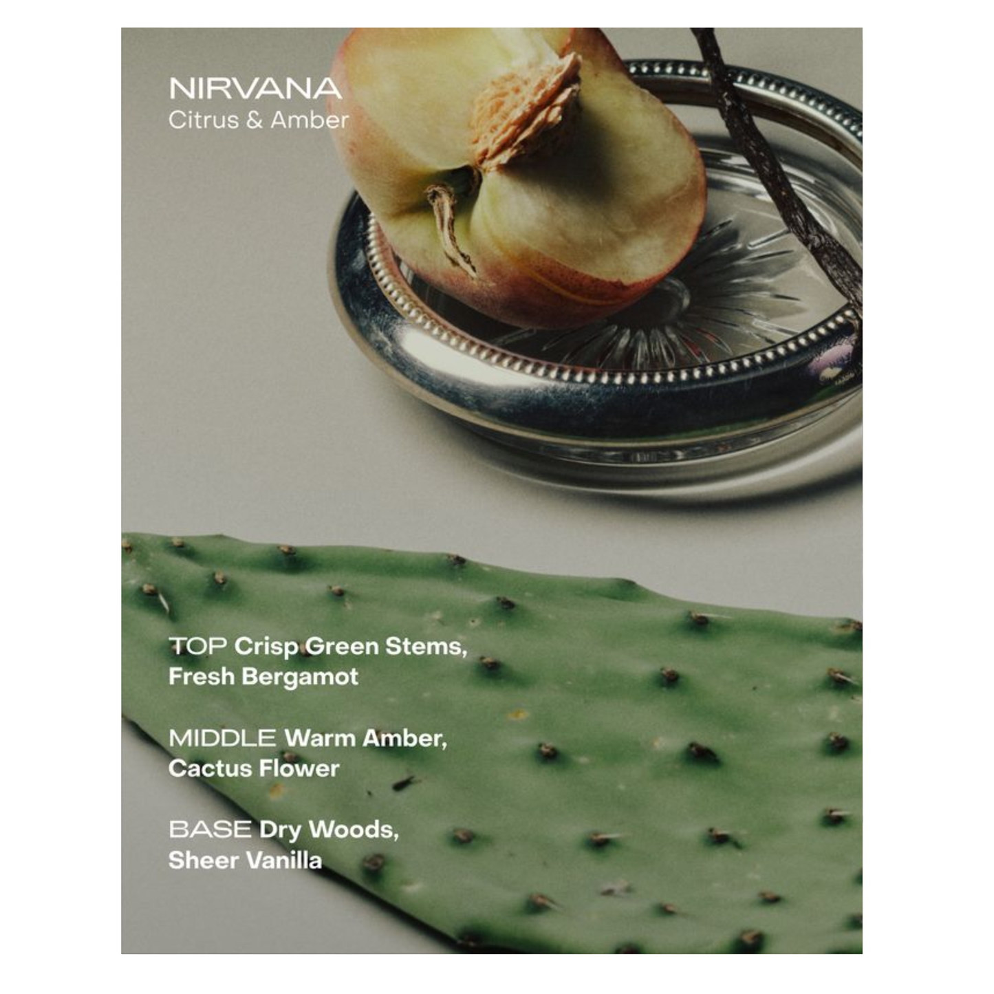 SIDIA The Hand Serum | Nirvana