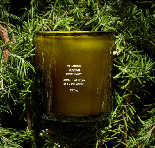 FLAMINGO ESTATE Climbing Tuscan Rosemary Candle 8oz