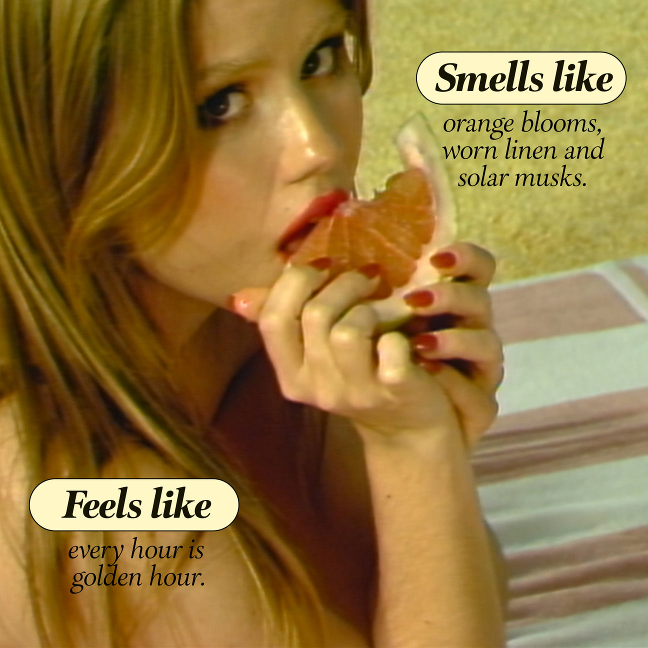 BOY SMELLS Solar Drip