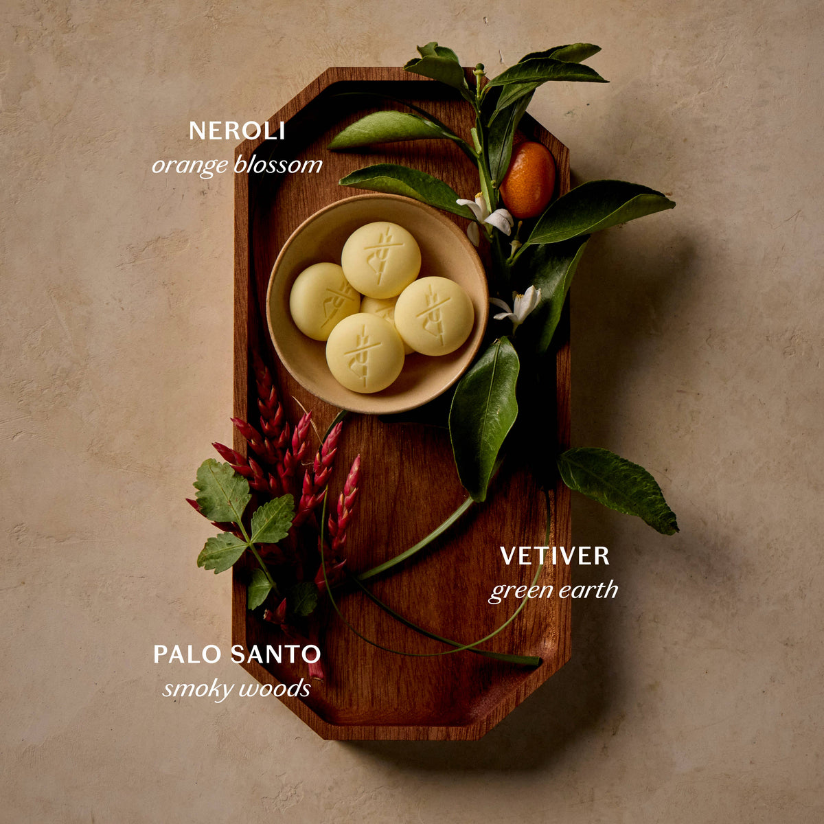 KATE MCLEOD Palo Santo & Vetiver Pebble | Bath & Shower Oil: Tray of 20