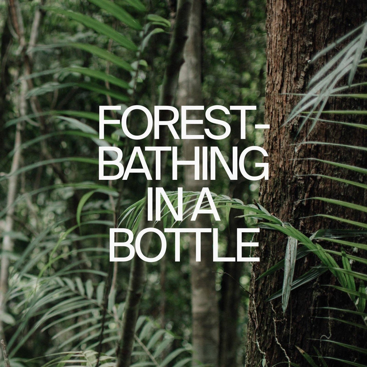 COSTA BRAZIL AROMA | Aroma