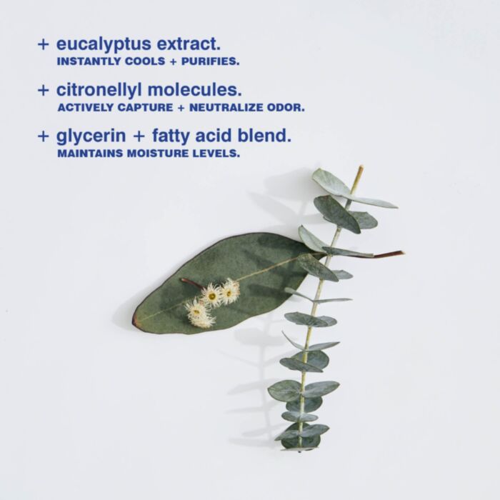 MALIN+GOETZ Eucalyptus Deodorant