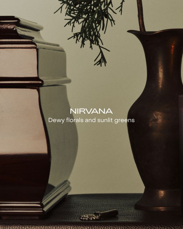 SIDIA The Hand Serum | Nirvana
